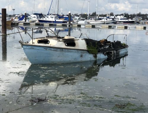 abandoned sailboats for sale near louisiana