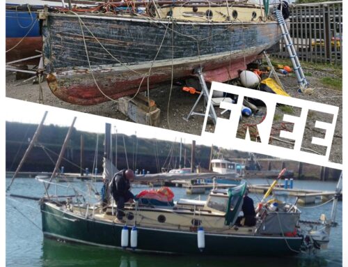 Help Save Artic Rose (FREE Project Boat)